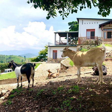 Amazi Land Home And Farm Stay Kibuye エクステリア 写真