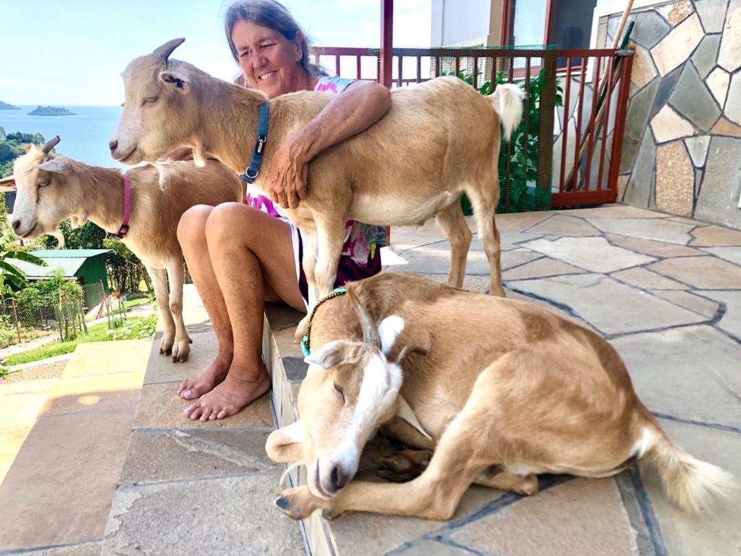 Amazi Land Home And Farm Stay Kibuye エクステリア 写真