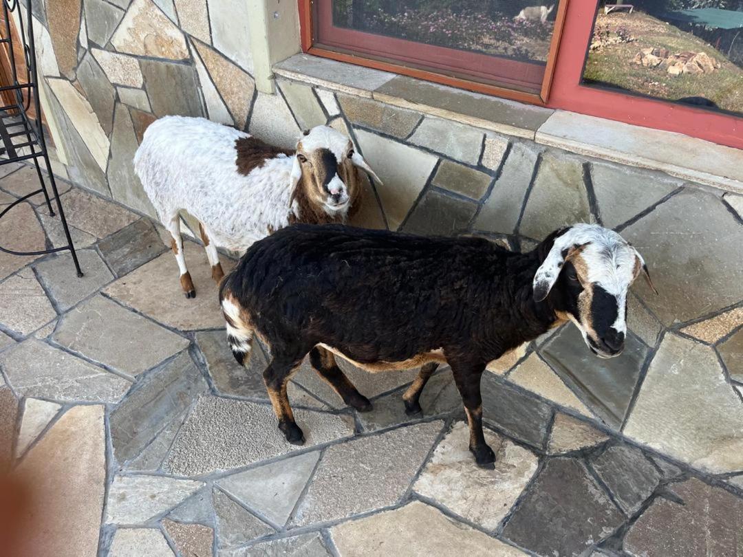 Amazi Land Home And Farm Stay Kibuye エクステリア 写真